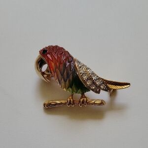 Colorful Parrot Bird Brooch